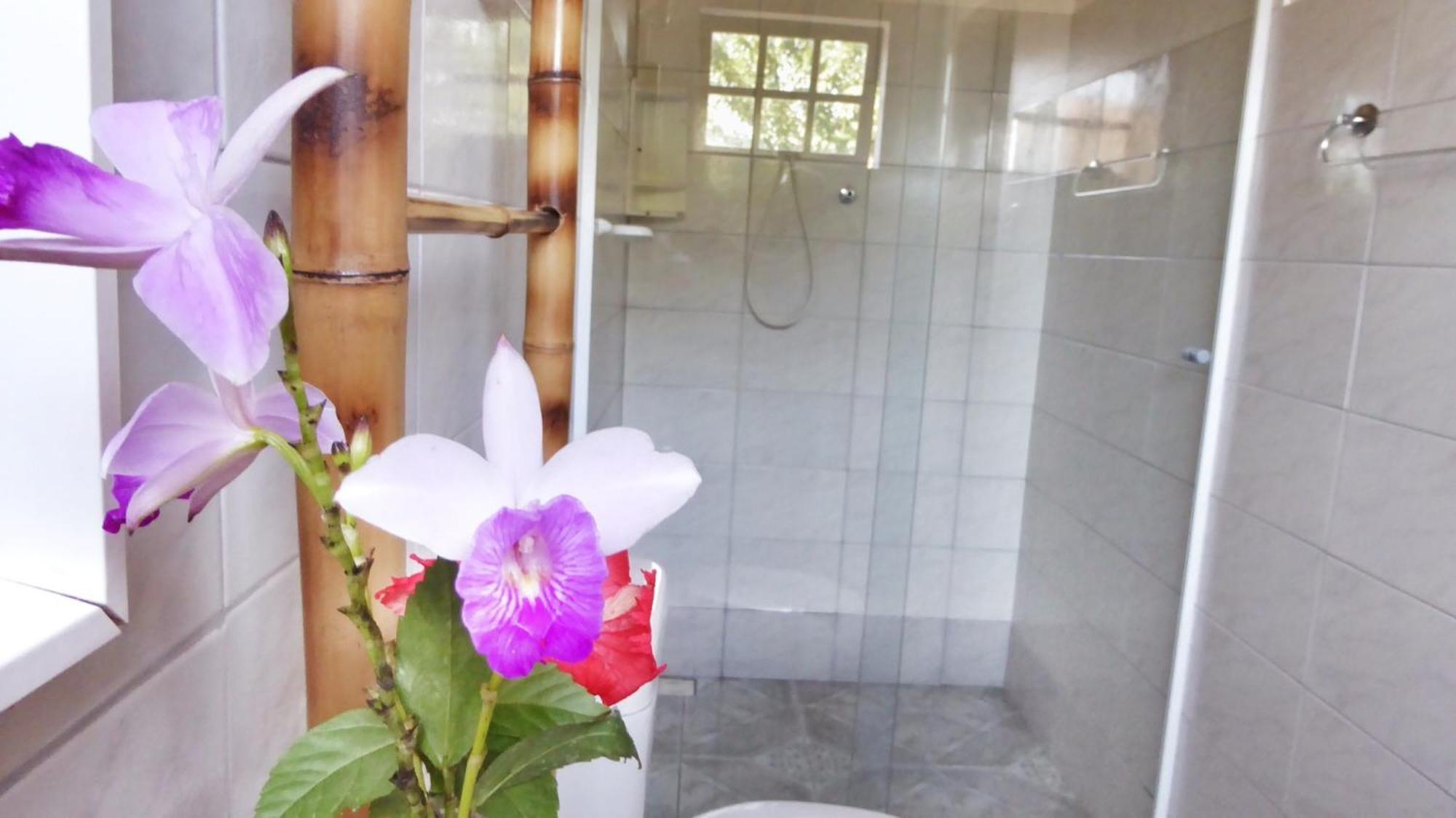 Planeta Banana Paraty Room photo